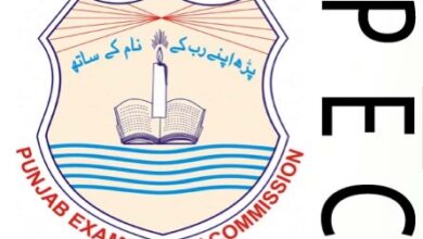 PEC 5th Class Model Papers Punjab Board Download