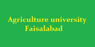 Agriculture University Faisalabad Intermediate Admission 2025