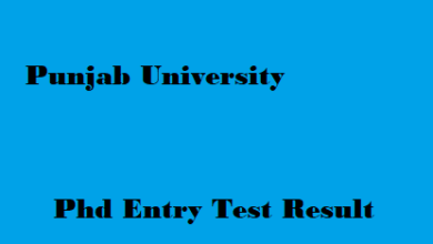 Punjab University PU PhD Entry Test Result 2025