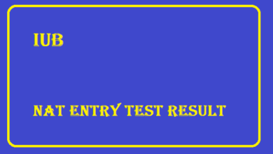 IUB NAT Entry Test Result