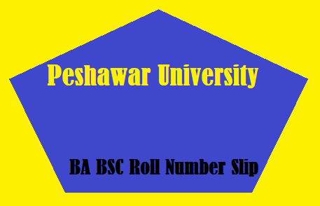 Peshawar University BA BSC Roll Number Slip