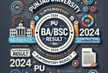 PU BA BSc Supplementary Result