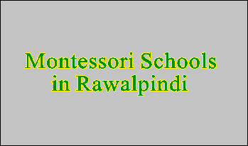 Top Montessori Schools in Rawalpindi