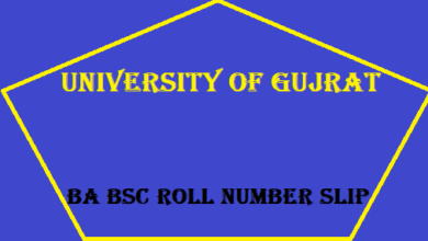 UOG BA BSc Roll Number Slips