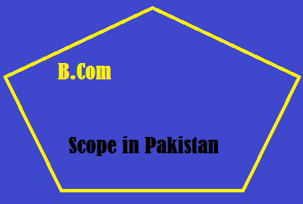 B.Com Career Scope in Pakistan