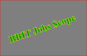 BBIT Scope and Salary in Pakistan