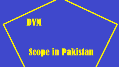 DVM Scope in Pakistan