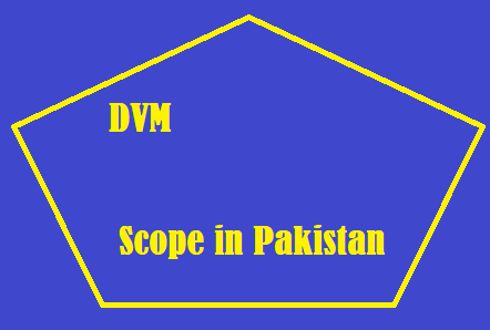 DVM Scope in Pakistan