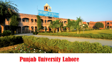 Punjab University BA Result 2025