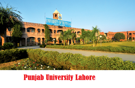 Punjab University BA Result 2025