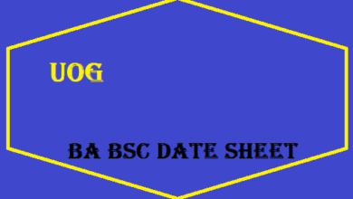 UOG BA BSC Date Sheet 2025