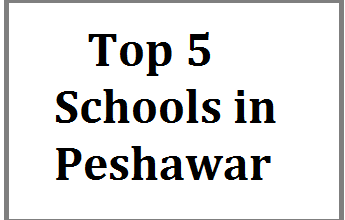 best schools in peshawar