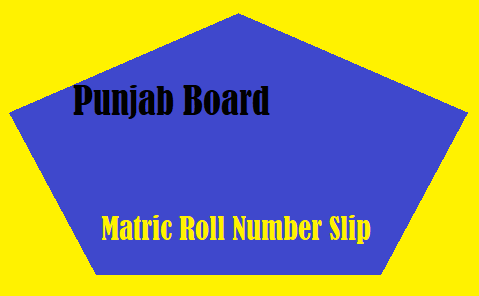 Matric Roll Number Slips