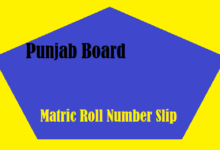 9th 10th Class Roll Number Slip 2025