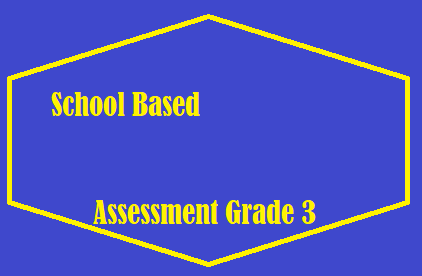 School Based Assessment Grade 3