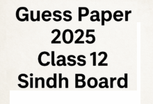 Guess Paper 2025 Class 12 Sindh Board
